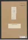 Diatomeae indet. Zeichnungen Sammlung Grunow Nr. 8985 (NHMW-BOT-W0378683)
